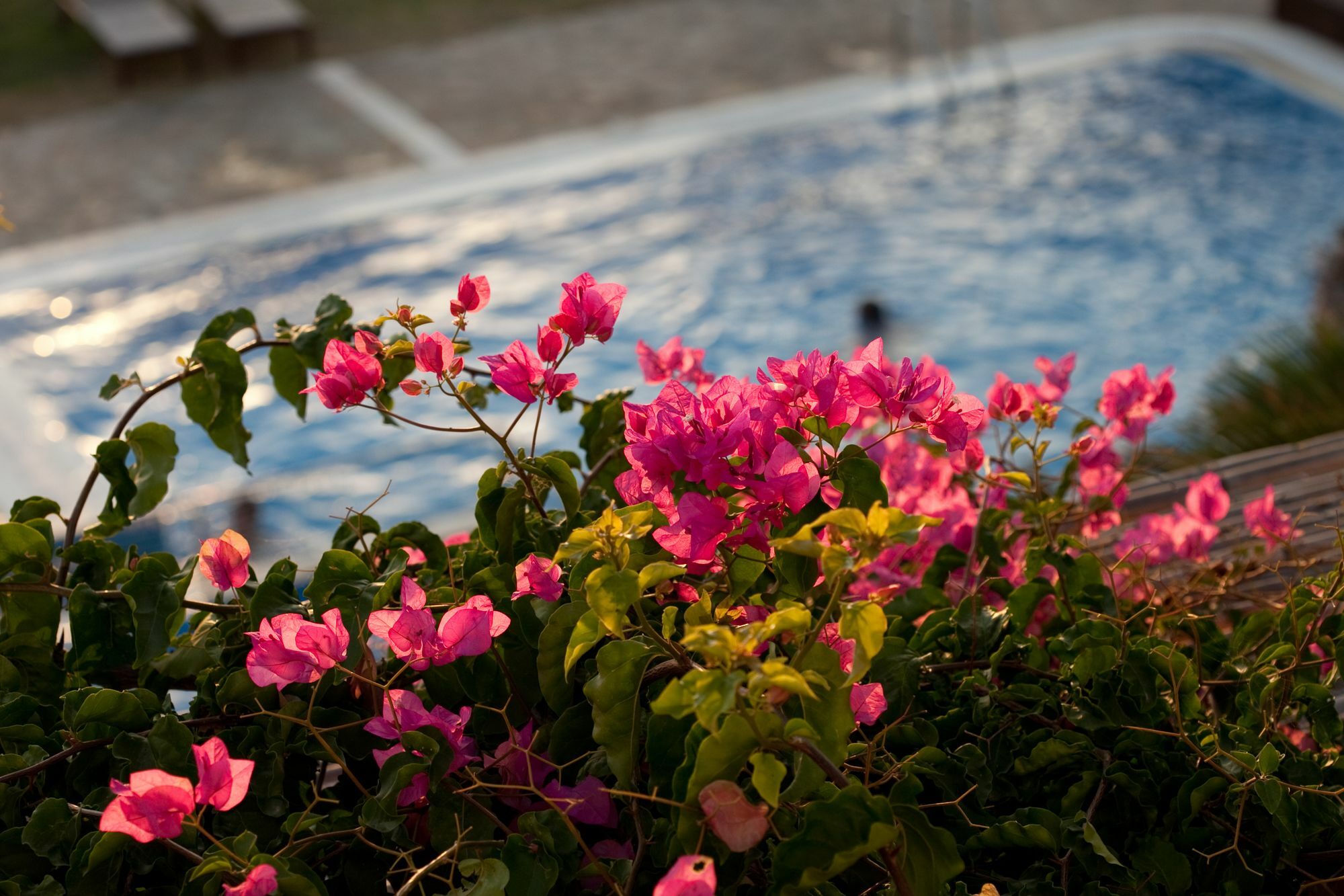 Antonina Hotel Agia Anna  Eksteriør bilde